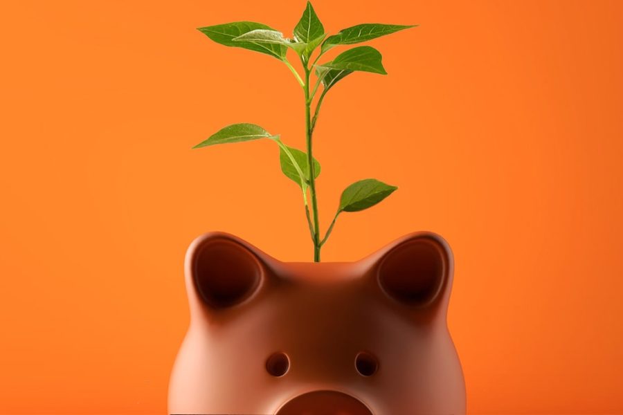 Medición del grado de competencia en el mercado de Afores: la aplicación del enfoque no paramétrico de la NOIE