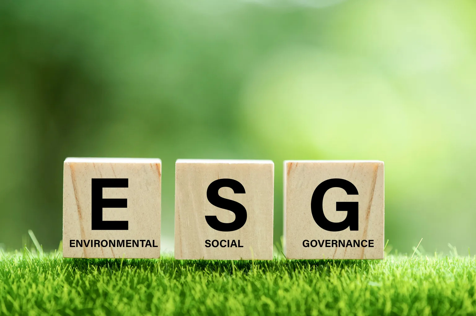 Incorporating ESG into retirement strategies