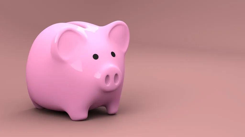 Cartera del Sistema Privado de Pensiones