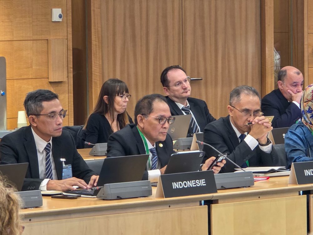 Indonesia: OECD delegation commends reform measures in insurance and pension fund sectors