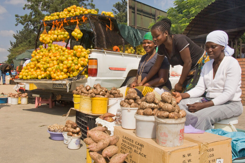 Extending Pension Coverage to the Informal Sector in Africa