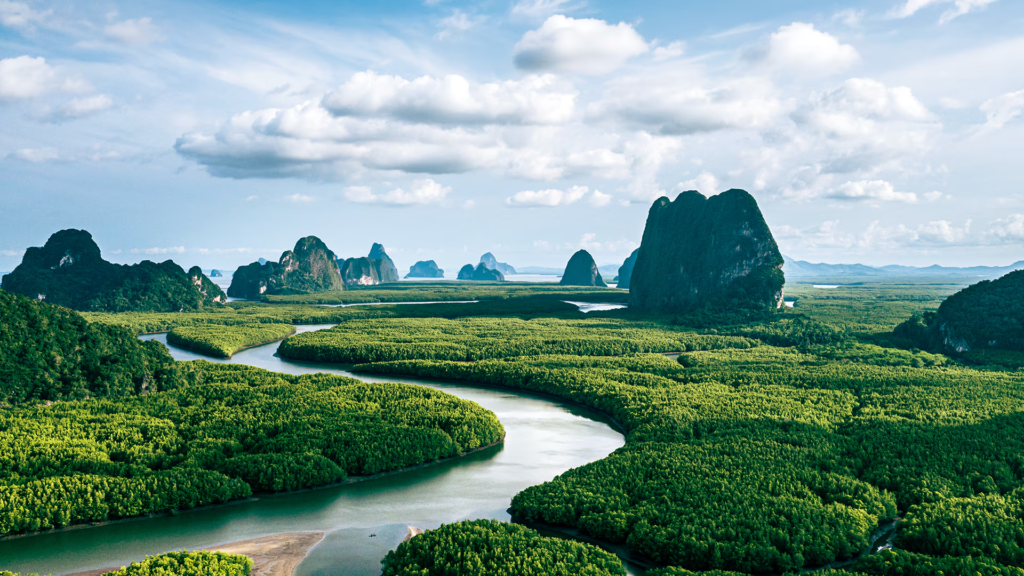 Which nature investments pay off? Here’s what a decade of data says