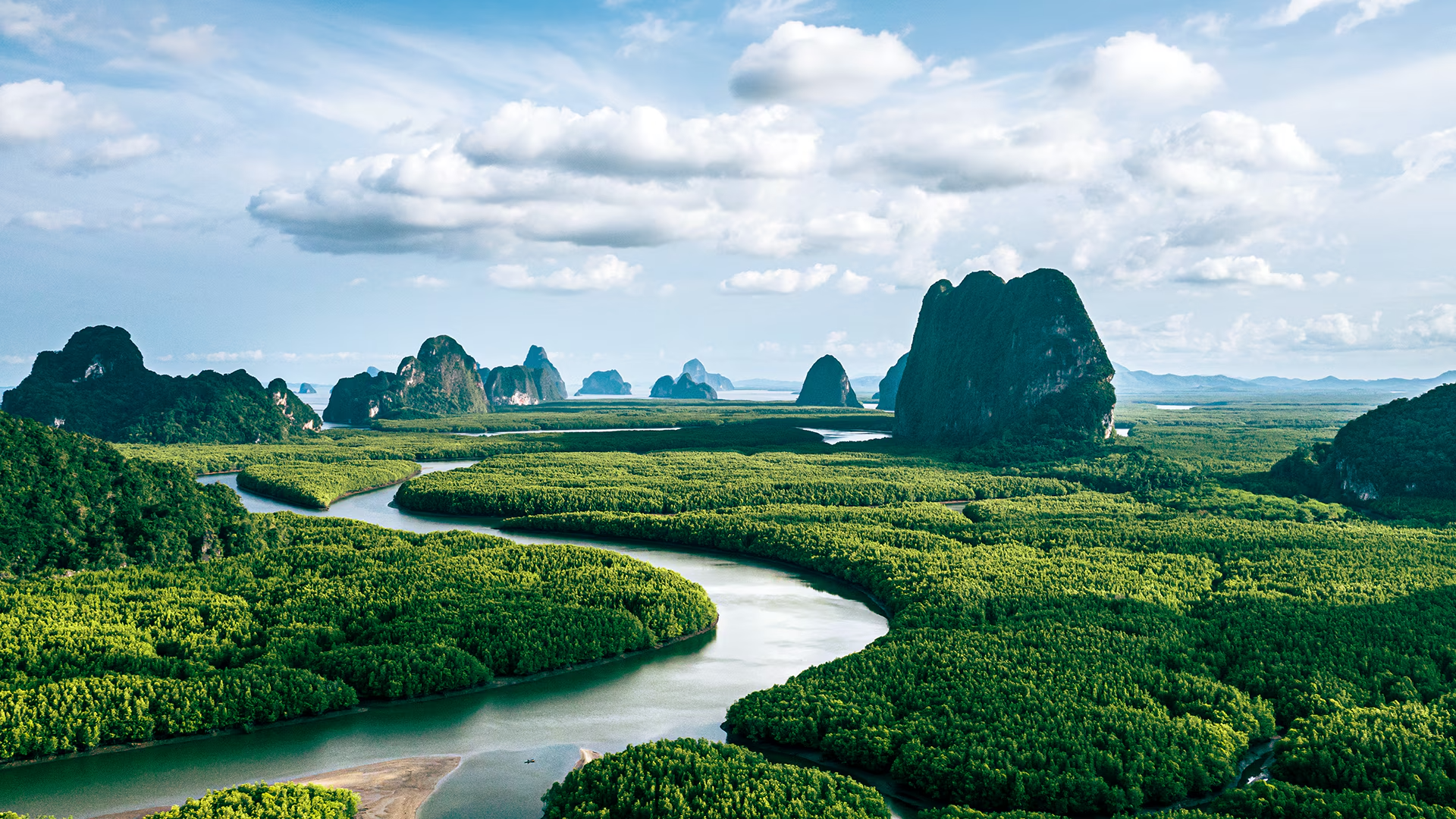 Which nature investments pay off? Here’s what a decade of data says