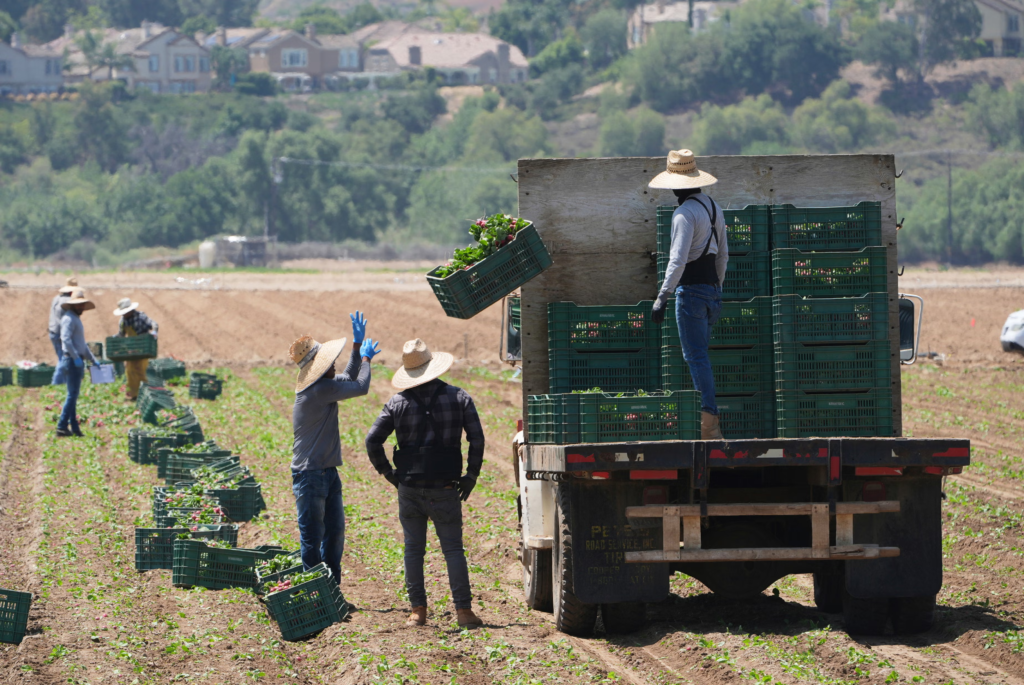 The Effect of Regularization Policies for Migrants on the Labor Market