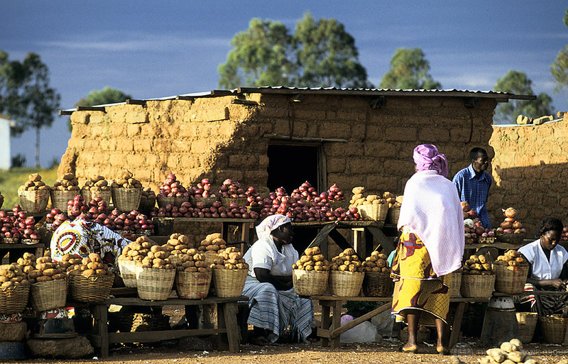 The Poverty Trap: Why Nigeria’s Informal Workers Are At Risk