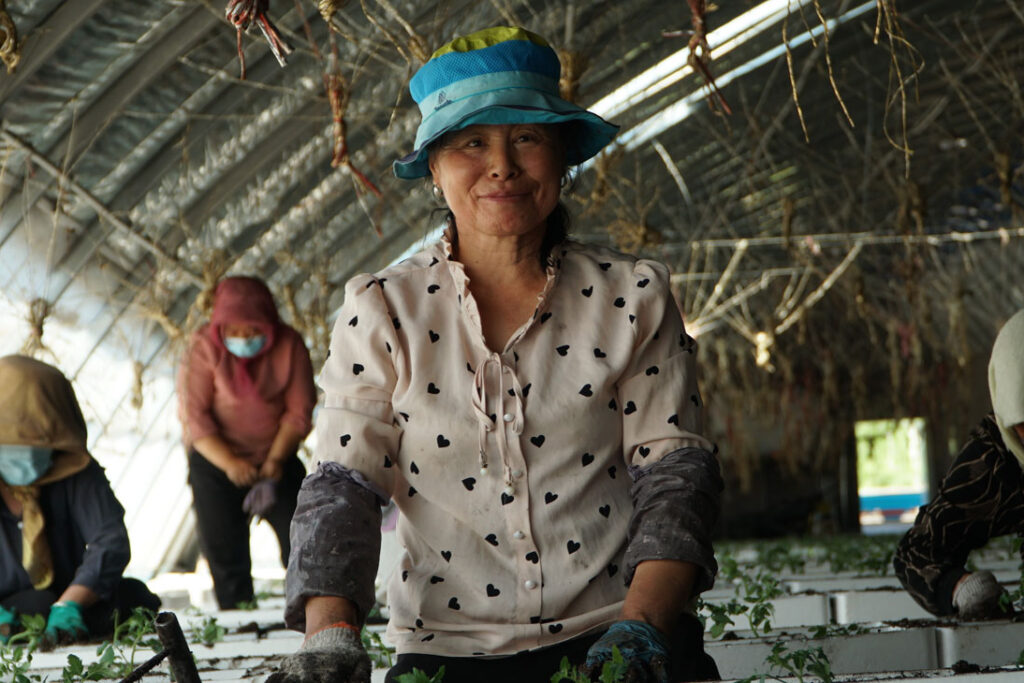The impact of pension on the health behavior of elderly rural residents: evidence from China
